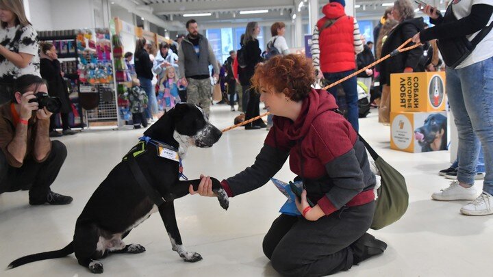 ФОТО: KOMSOMOLSKAYA PRAVDA/GLOBAL LOOK PRESS