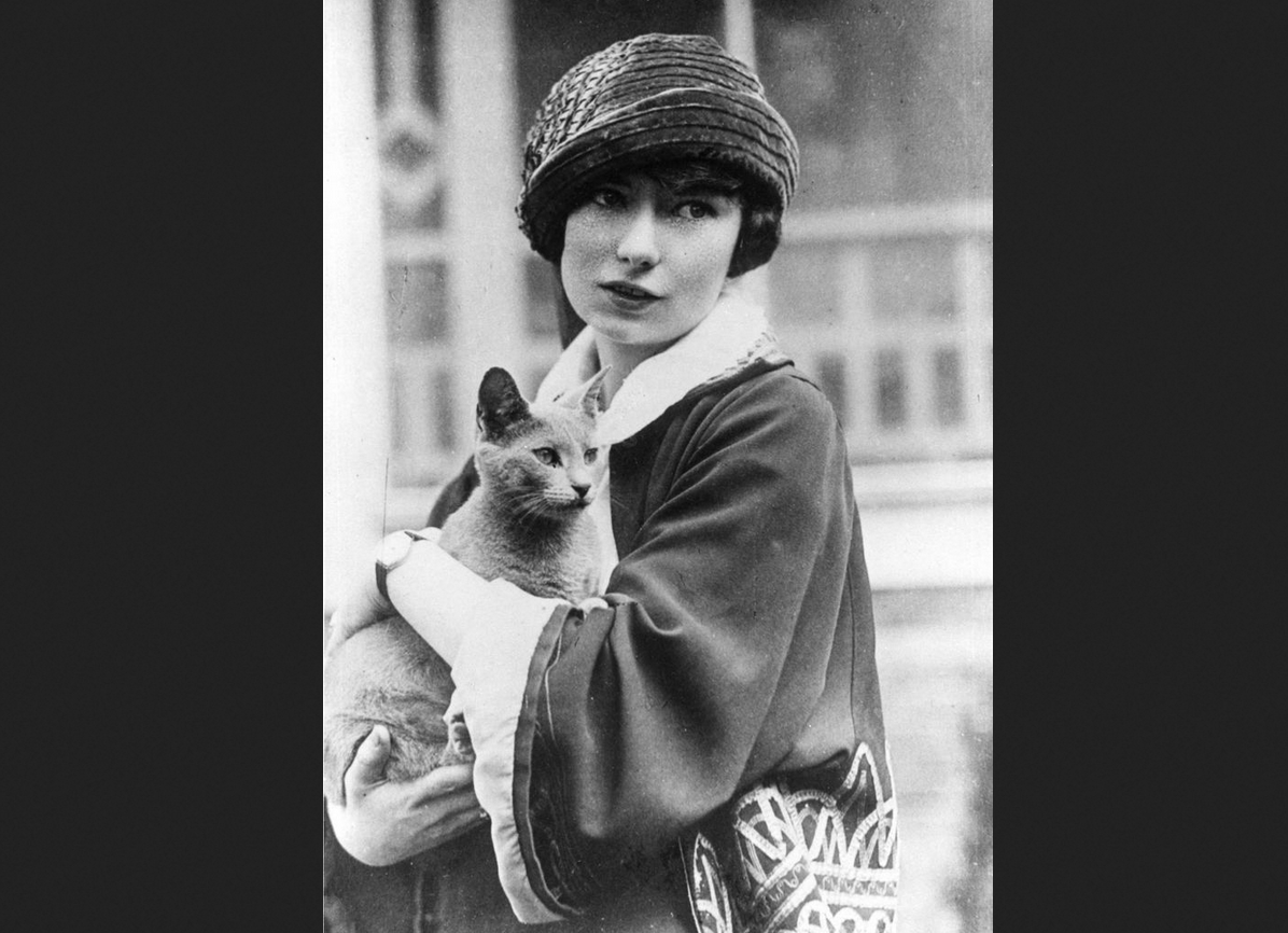 Маргарет Митчелл с котом
