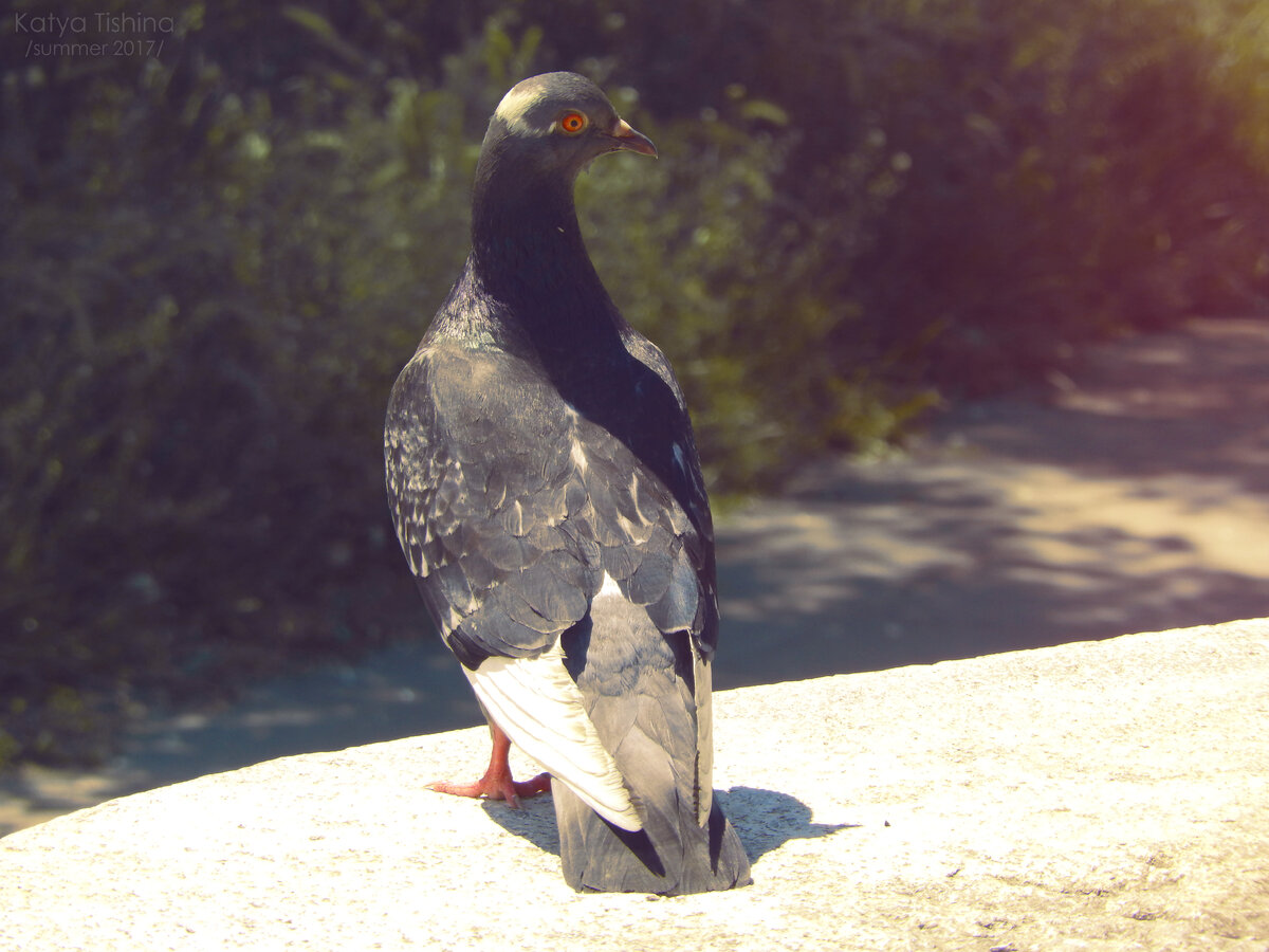 Листайте галерею, чтобы увидеть больше изображений.