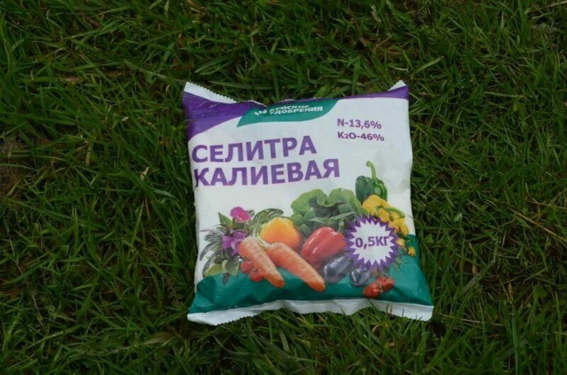 Селитру нельзя смешивать с перегноем.
