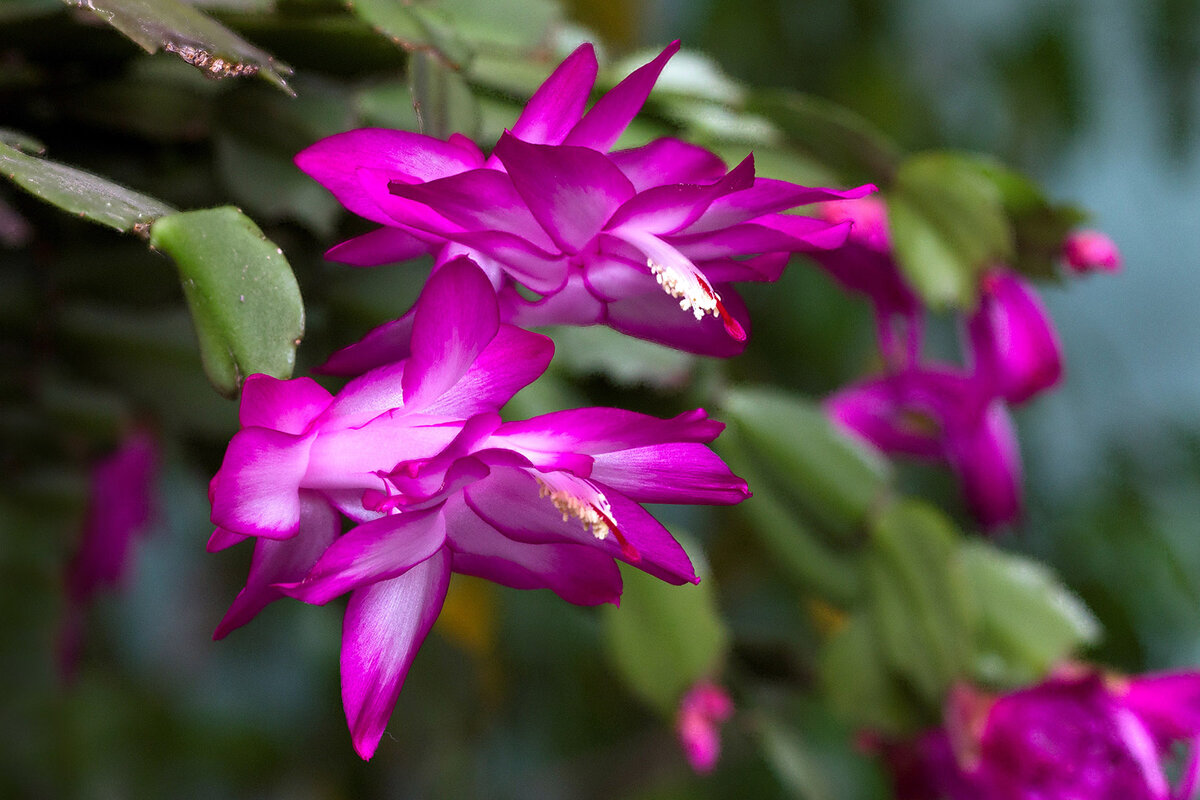 Фото: mavink.com