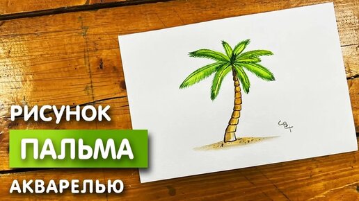 «Пальма» бесплатная раскраска для детей - мальчиков и девочек