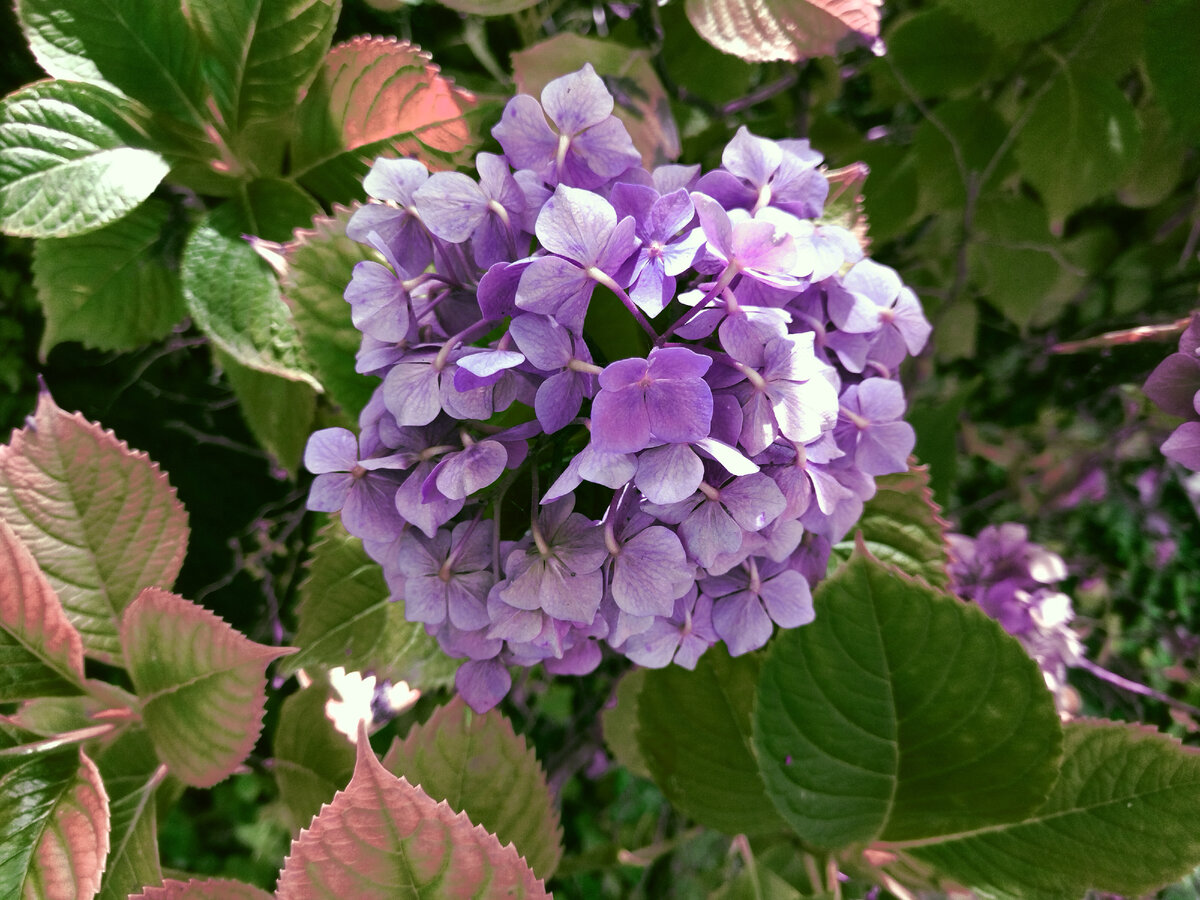 Картинка с бесплатного фотостока https://unsplash.com, автор Lallaoke