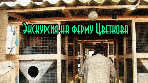 Экскурсия на крутую ферму