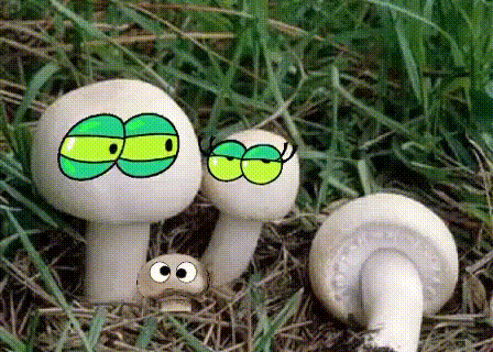 Шампиньоны