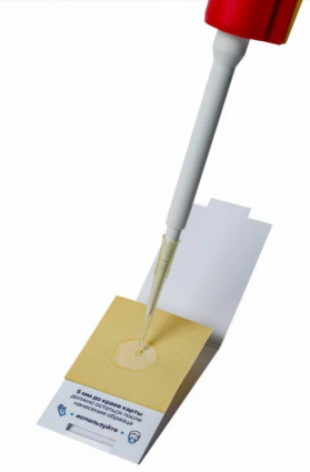    Прототип РНК-карты. Фото: Из личного архива/ Пресс-служба ЮФУ