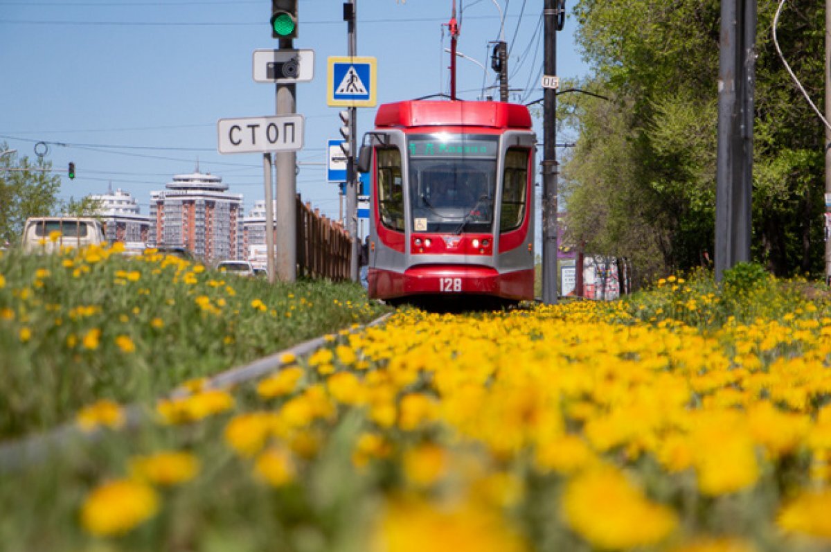    Хабаровчане смогут бесплатно пересаживаться с троллейбуса на трамвай