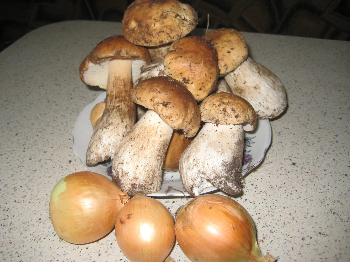 Грибы, жаренные с луком, да в сметане - это самое вкусное блюдо осени.  А как правильно приготовить это осенне блюдо, я подробно расскажу вам в этой статье.