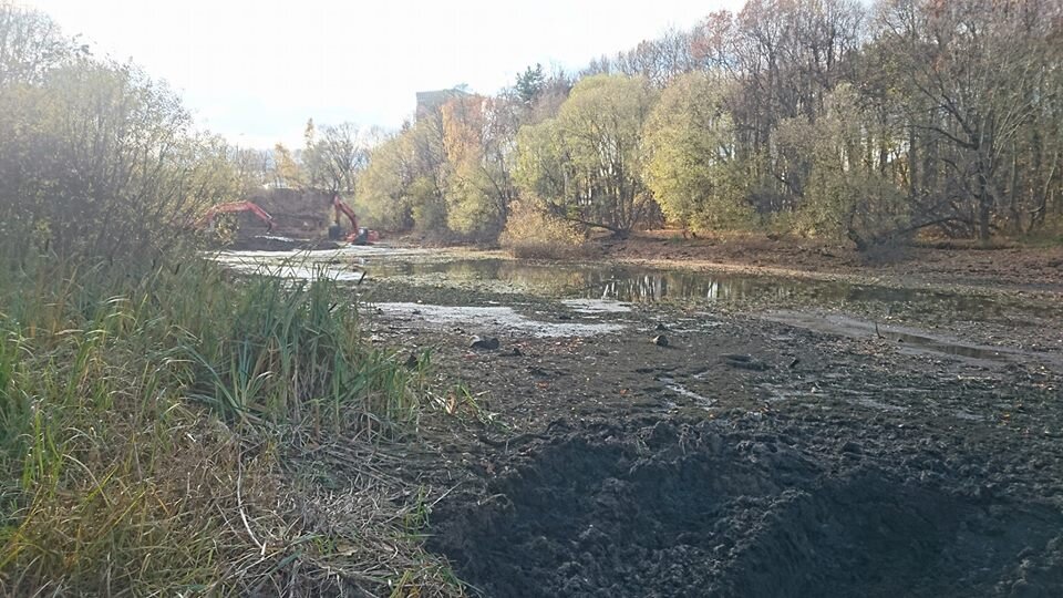 Реконструкция парка "Покровское-Стрешнево"