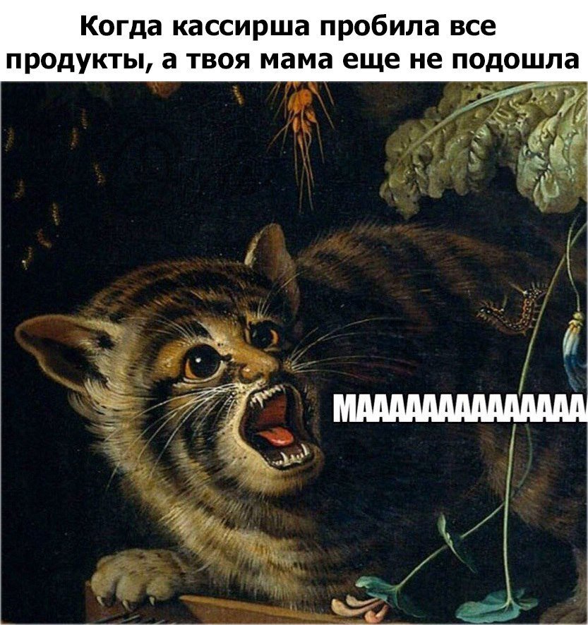 Вот ваша зарплата это ветка картинка