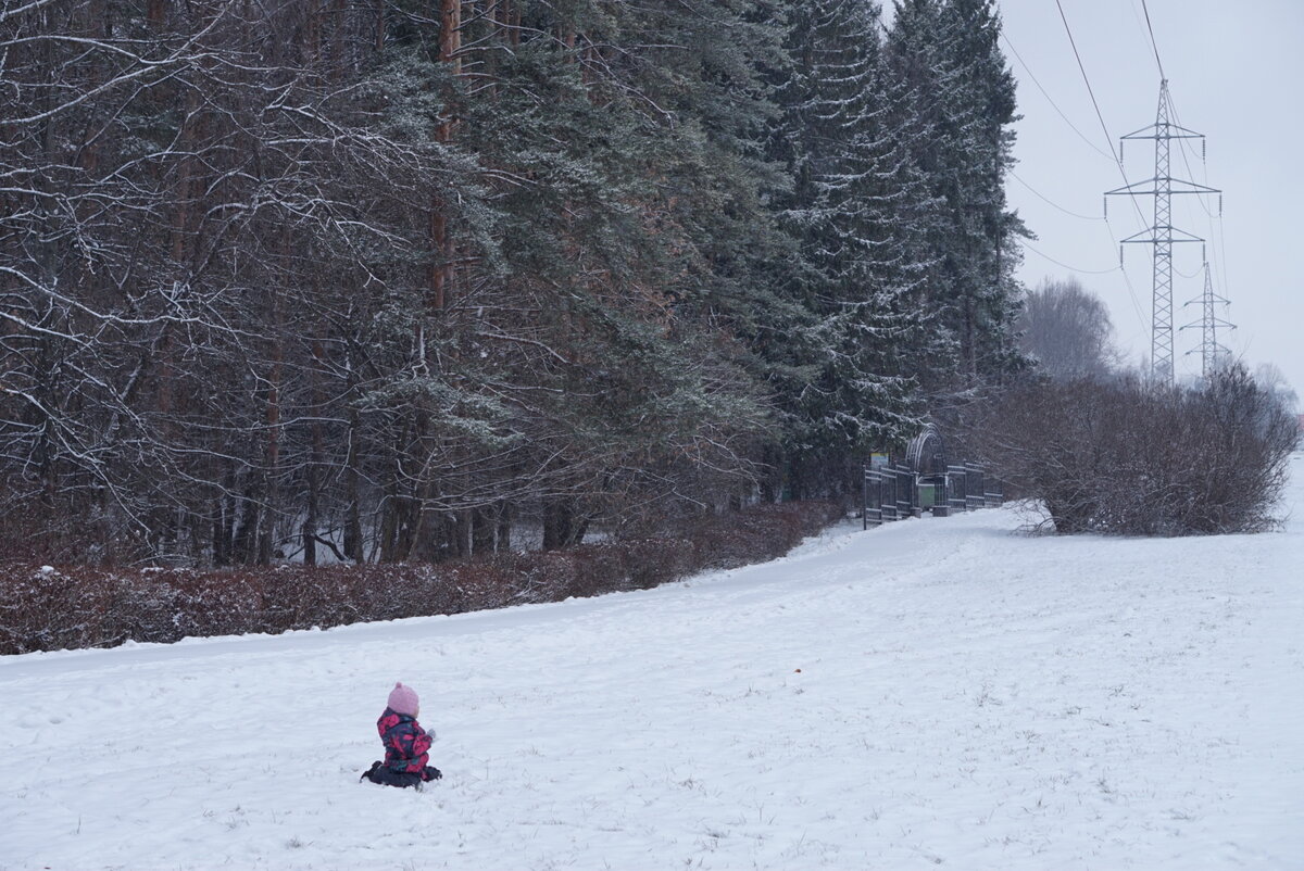"Наш" вход в лес