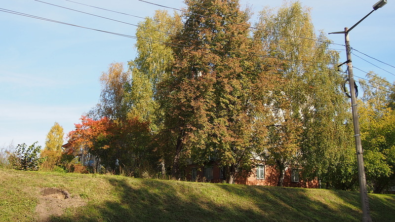 А потом мы поехали в Академгородок. Это такой район Новосибирска, где раньше жили и работали ученые умы, а сейчас там работают ученые умы, а вот живут те, кто готов отвалить за квартиру вполне себе ближнеподмосковные цены или 8 млн. руб и больше за стандартную трешку.

