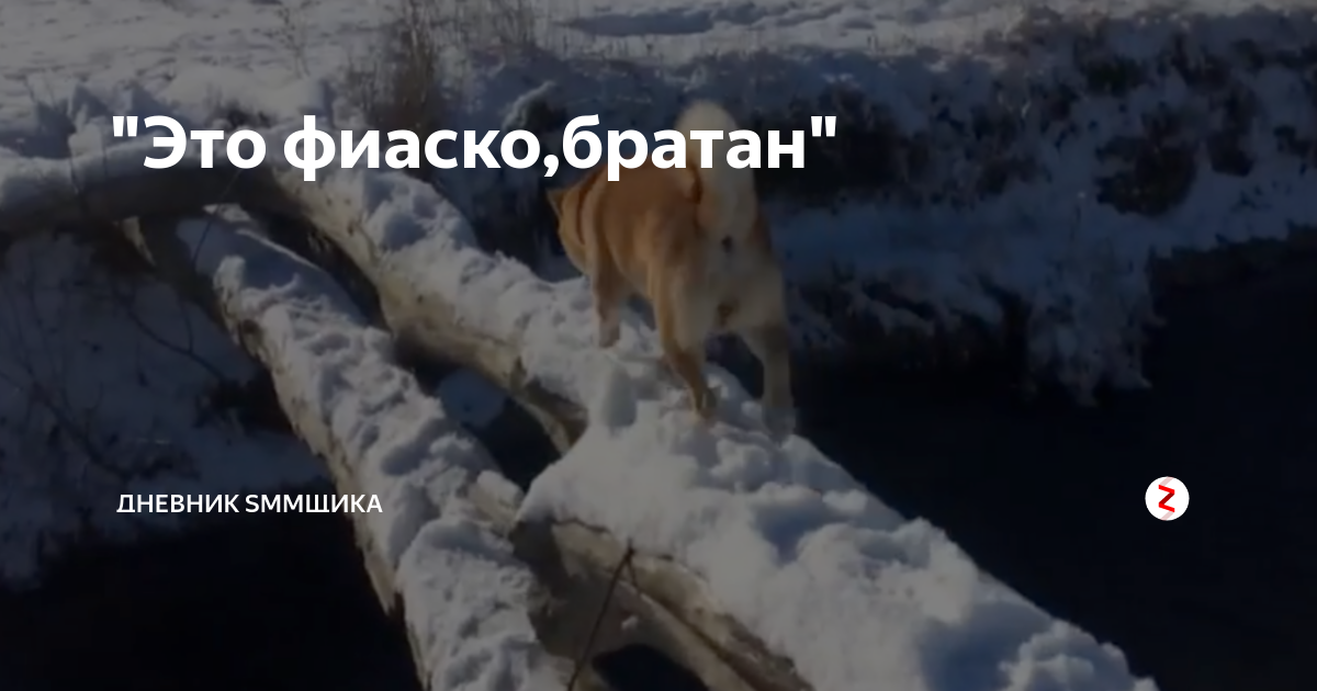 Выборы 2018 О_о Подарок каждому, кто голосовал за Альмерку %) + небольшой тизер!