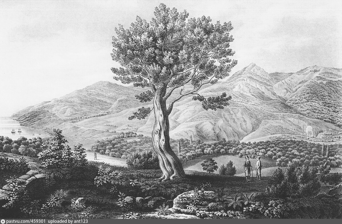 Вид на долину Ялты и деревню Ай-Василь. Гравюра Фредерика Дюбуа де Монпере, 1832-1835 годы. Взято с Pastvu.com 