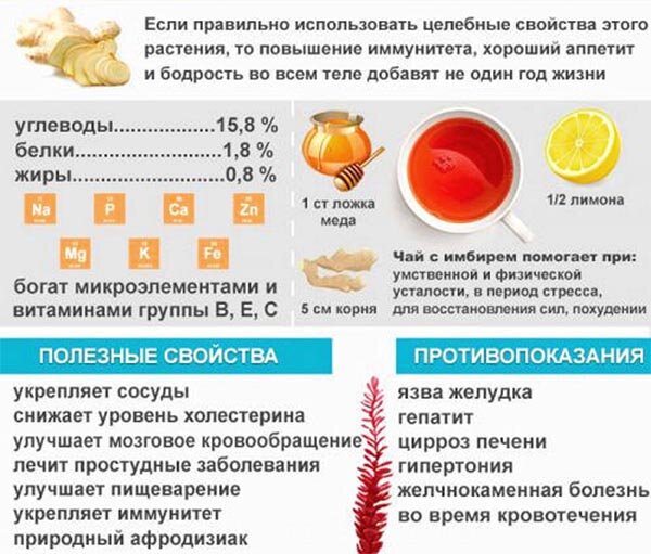 Применение белого корня несовместимо с некоторыми лекарствами. Поэтому рекомендуется перед использованием проконсультироваться у врача!