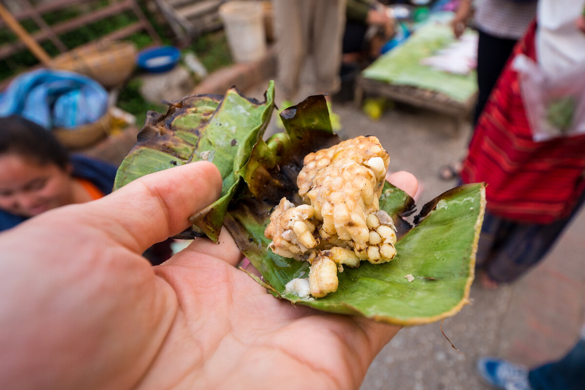Соты-гриль с личинками