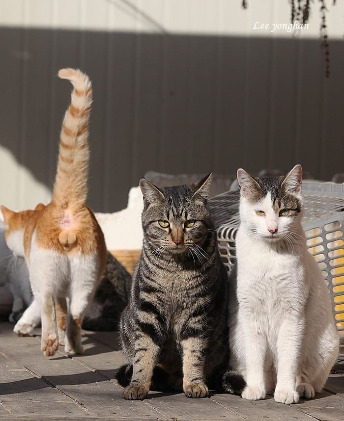 Друг, который вечно портит все фотографии