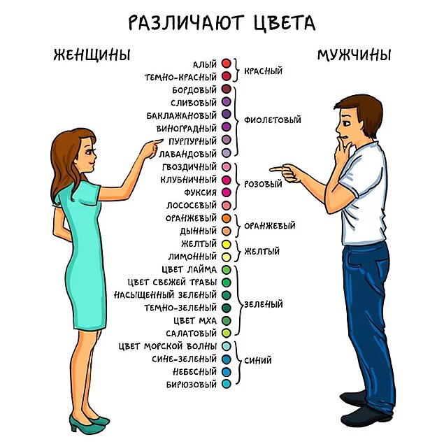 Палитра цветов, которую видят женщины, гораздо шире мужской, поэтому в разговорах женщины часто оперируют оттенками, а мужчины зачастую не могут отличить лиловый цвет от бирюзового.
