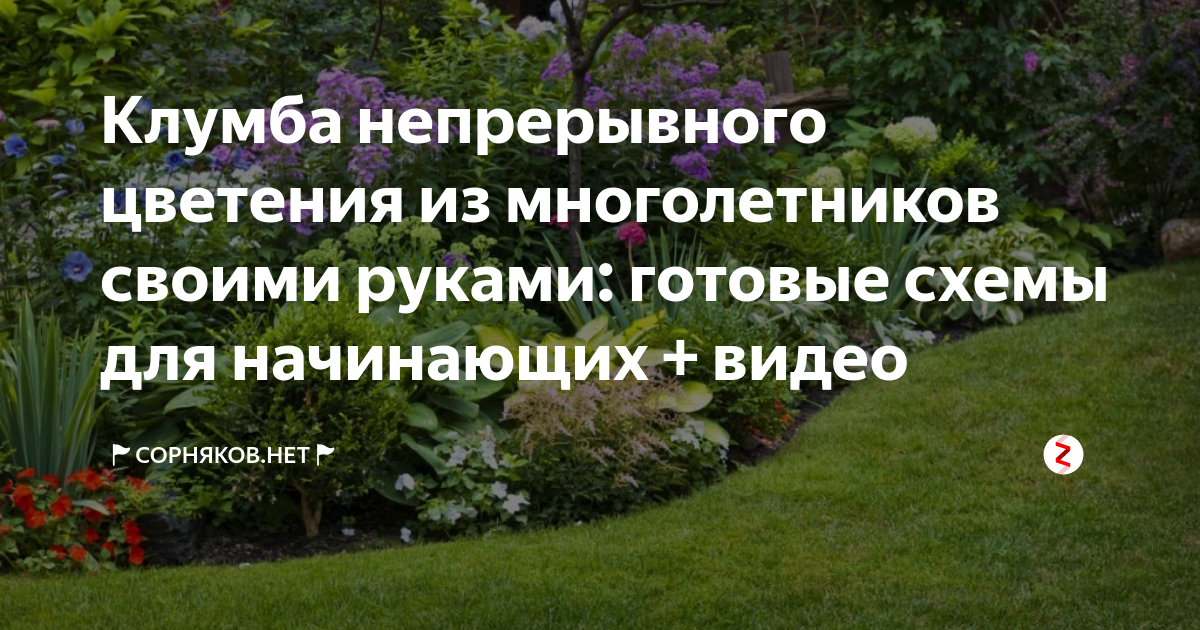 Цветник непрерывного цветения из многолетников: виды цветов и схемы