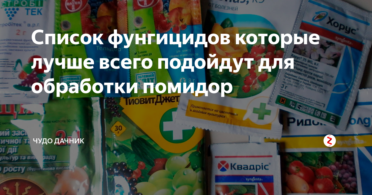 Список фунгицидов которые лучше всего подойдут для обработки помидор ...