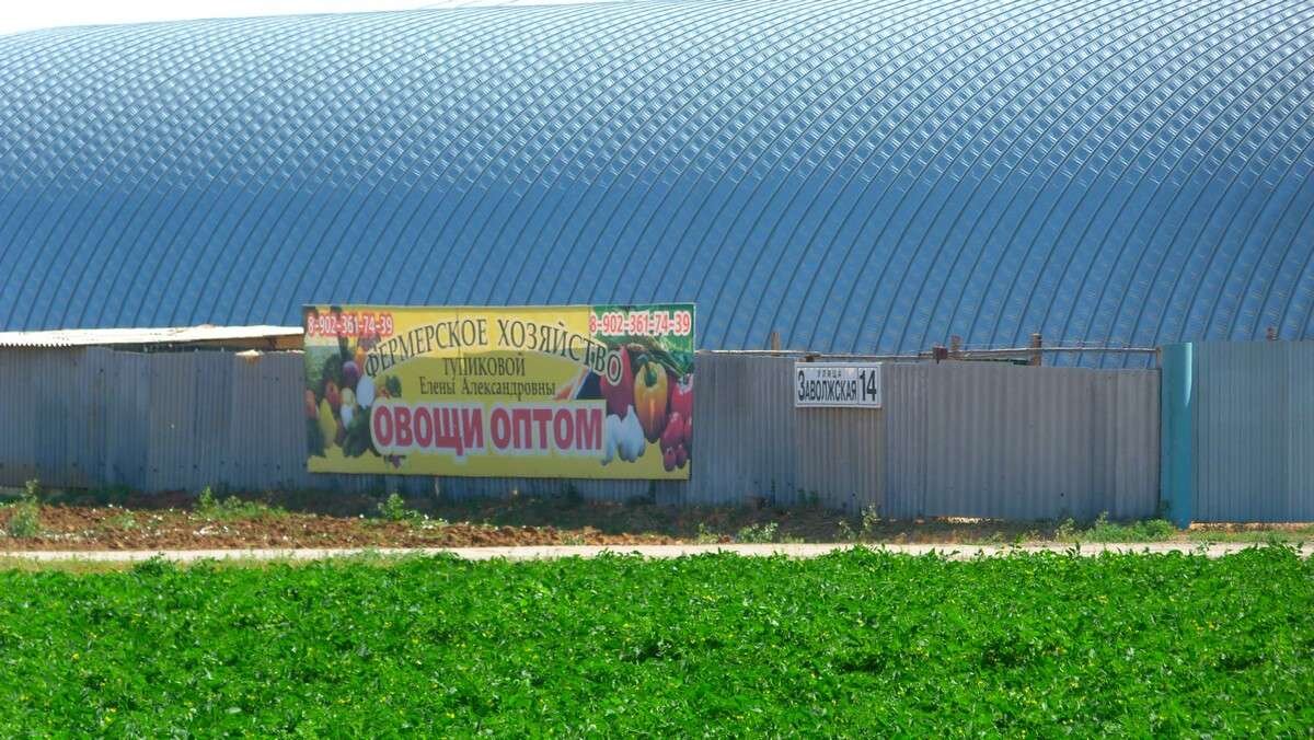 Фото: novostivolgograda.ru