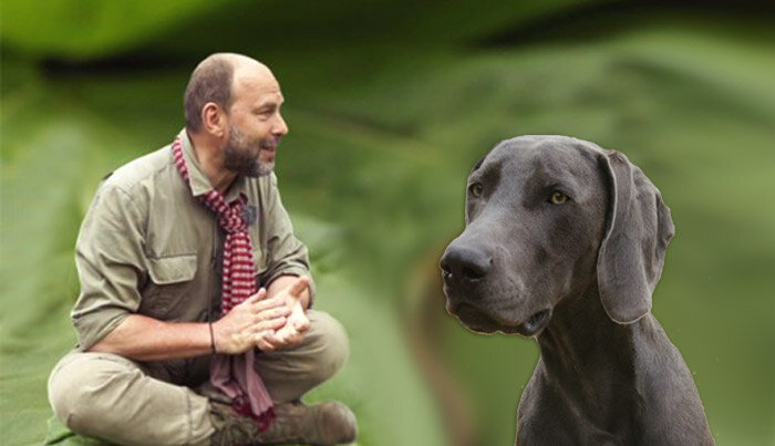 "Поле и сад" с Александром Хабургаевым