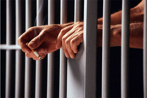 Фото из свободного доступа сети 