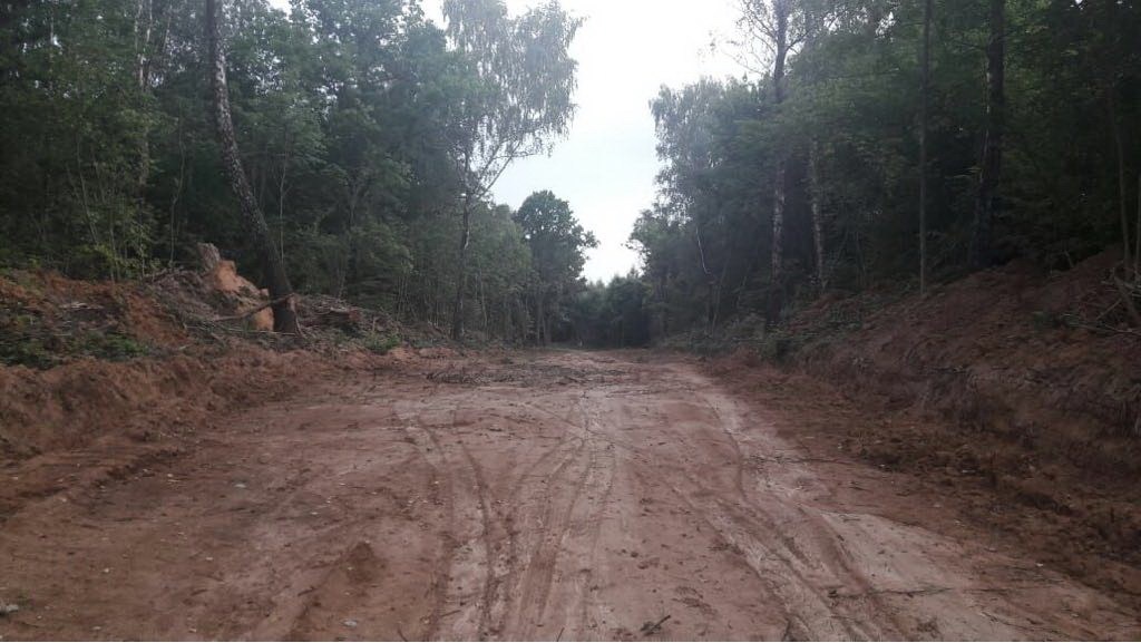 Фото — группа «Газета Городок», vk.com