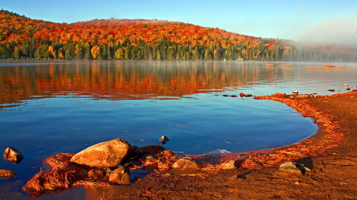 Все мы сталкивались с такой проблемой , приезжаем на рыбалку и не клюет , погода благоволит, но клева все нет и нет . Пробуем сменить насадку , прикармливаем место , но по прежнему ничего не меняется . 