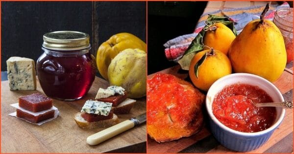 Фото: tallcloverfarm.com