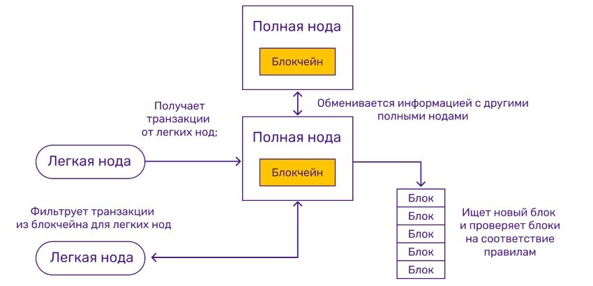                                                                           Функции полной ноды