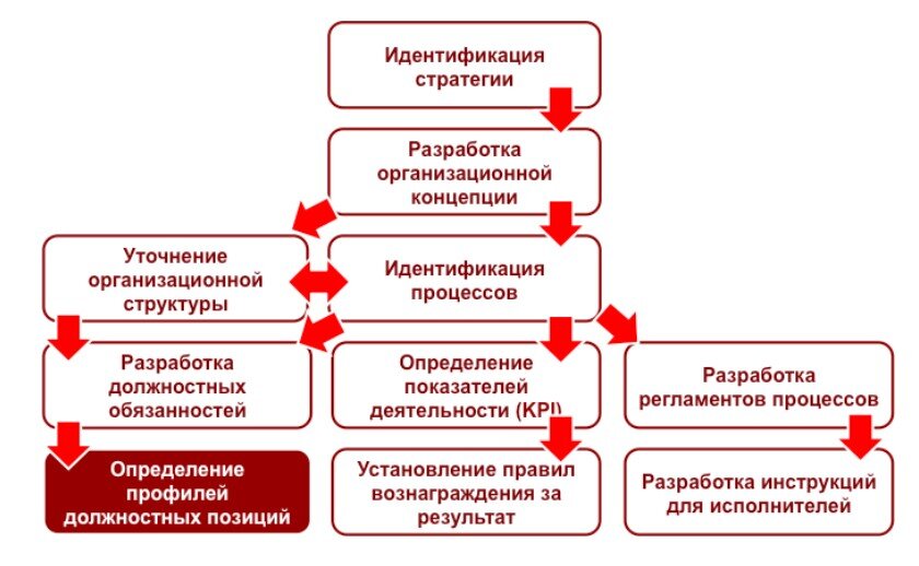 Образовательные программы в вузах