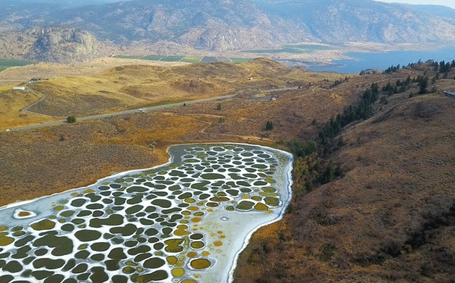 Пятнистое озеро