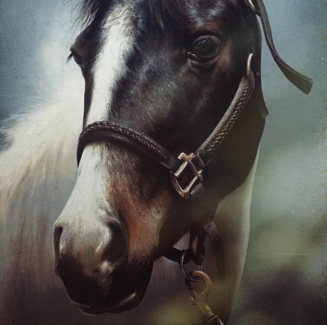 "Лошадь" Дмитрий Чухнин