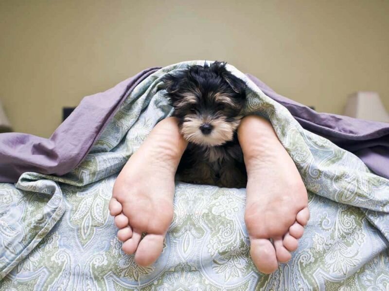 Источник фото: https://i.ytimg.com/vi/DNplRfAiLQU/maxresdefault.jpg