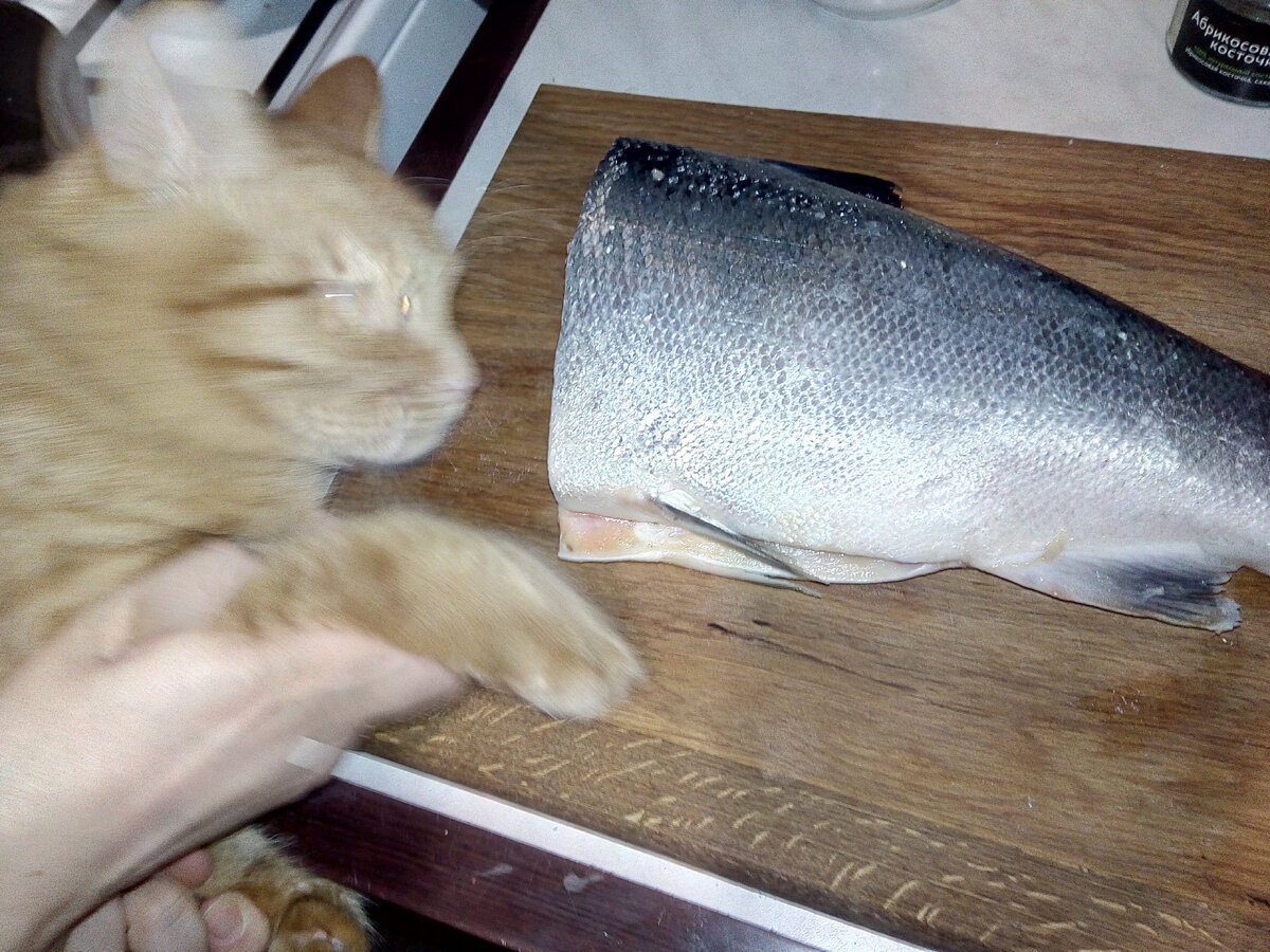 Качественно экзекуцию снять не удалось, я не виноват. Наверное. Ну это к лучшему, а то бы зоофилов бомбануло.