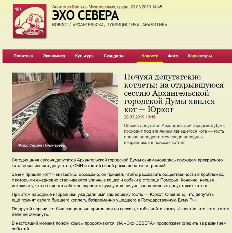 Forum exler ru. По версии кота. Котик в гостях. По другой версии кота. Кошачьи версии политиков.