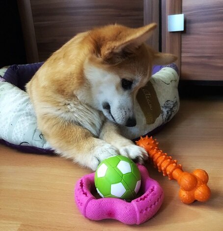 Все разнообразие моих игрушек..