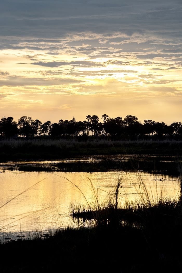 PHOTO: STACIE FLINNER