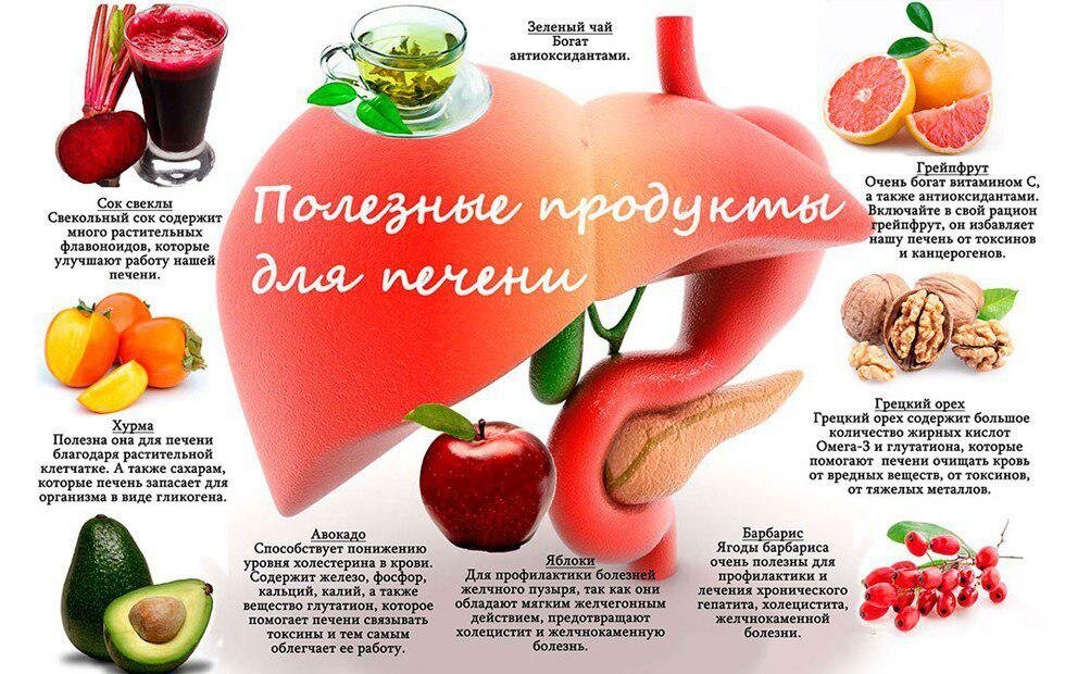 Продукты для восстановления печени