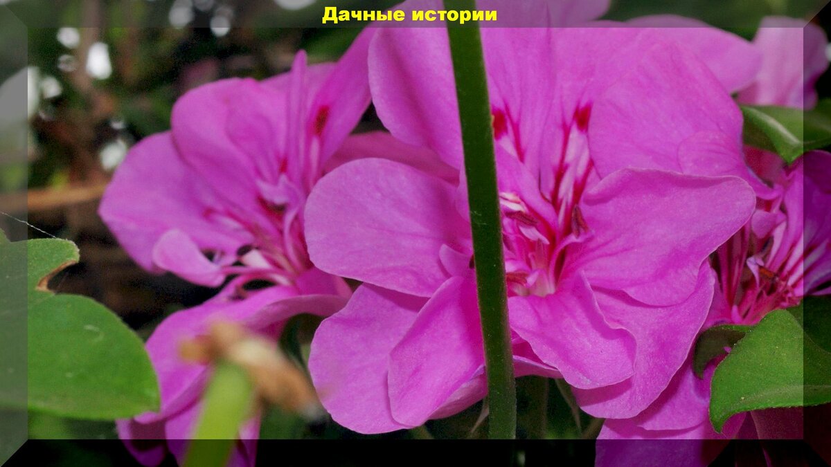 https://vk.com/photo-159774511_456241886