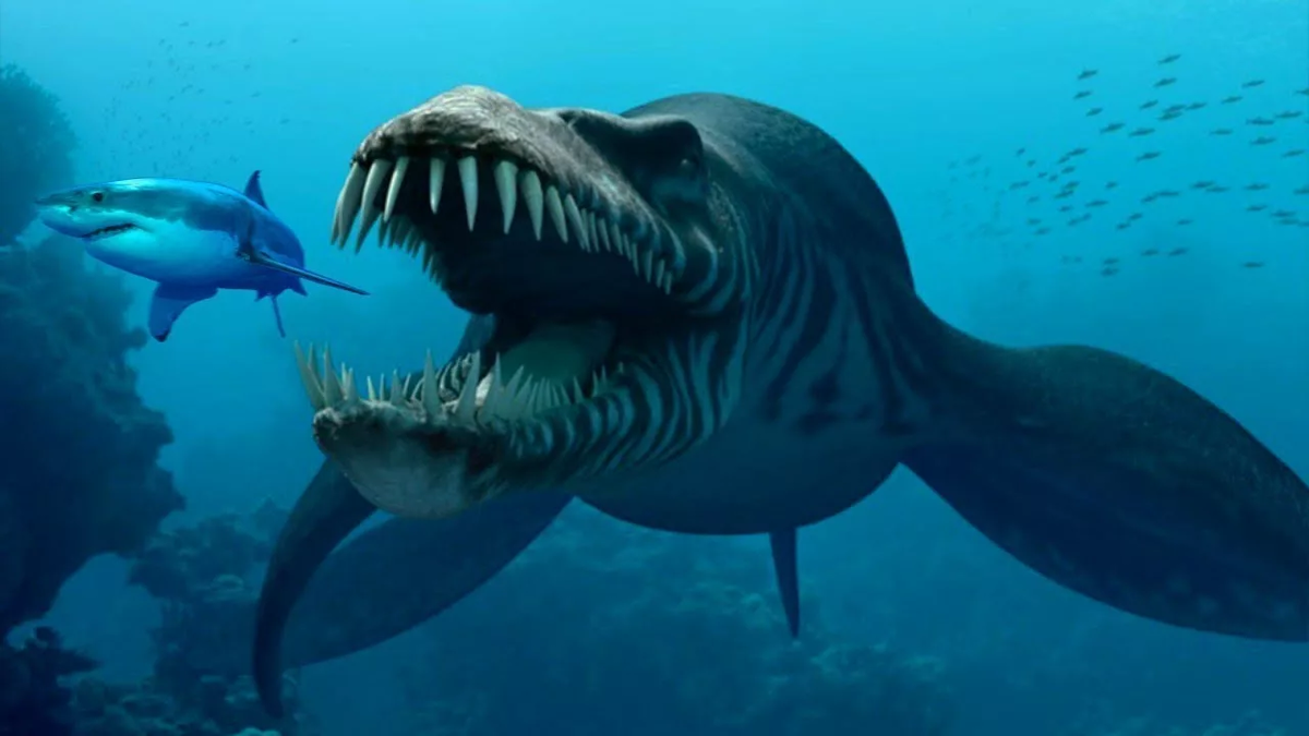 Марианская впадина акула МЕГАЛОДОН. Акула-монстр МЕГАЛОДОН жив. МЕГАЛОДОН В Марианской впадине. Морские чудовища Марианской впадины.