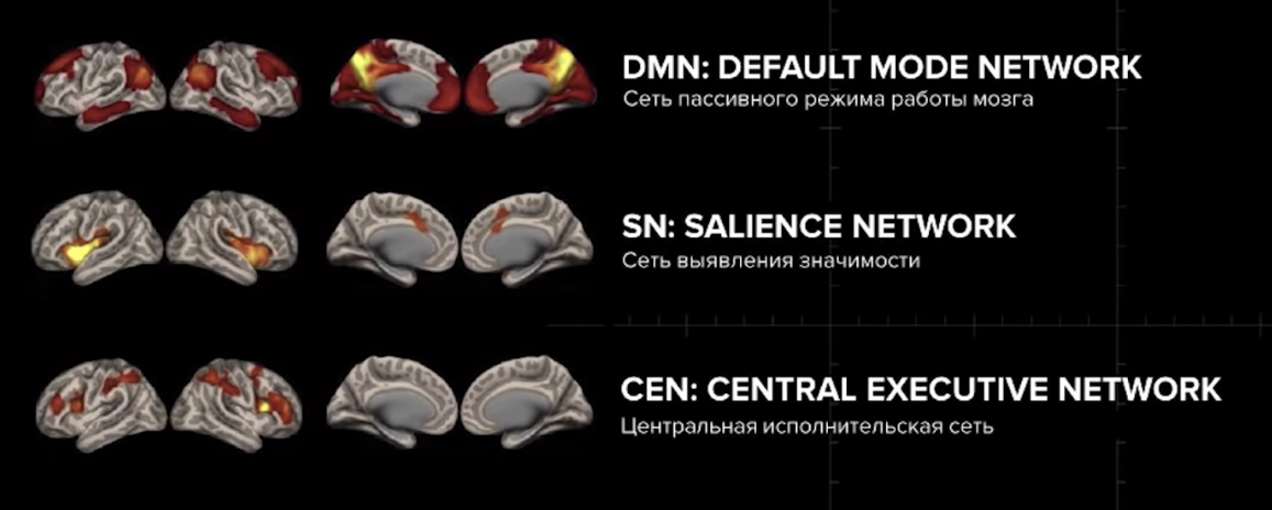 3 Системы мозга дефолт система. Сеть выявления значимости мозг. Три режима работы мозга. Сеть пассивного режима работы мозга.