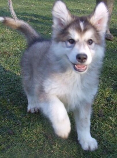 Одних обычно вспоминаешь, а другие снятся...