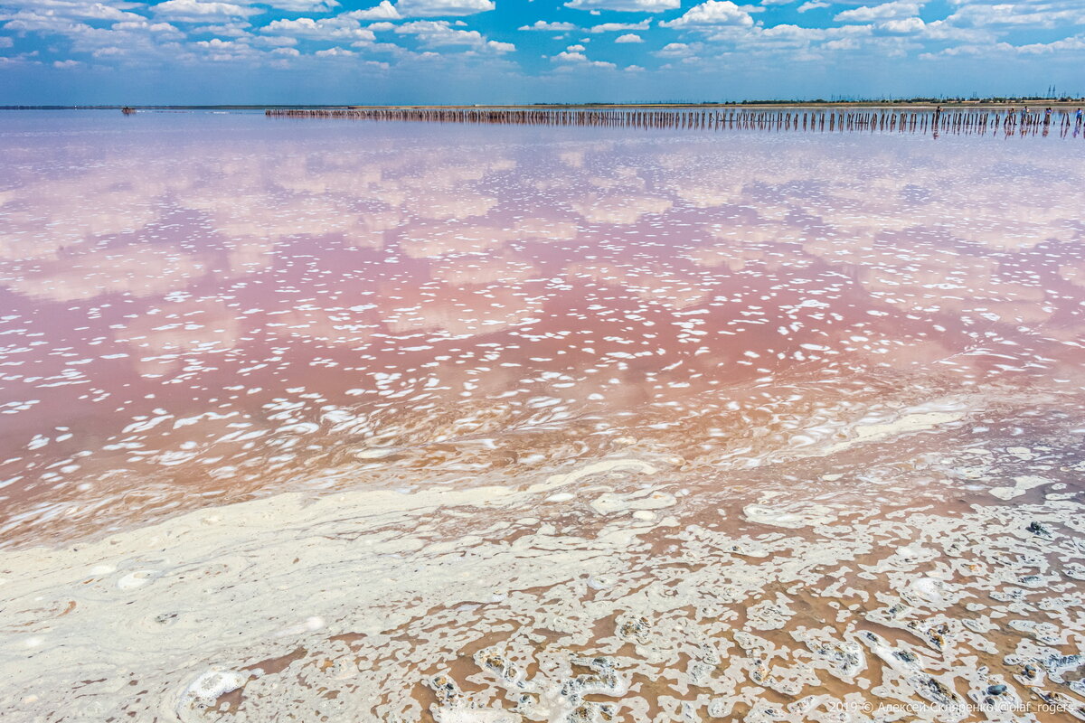 Розовое озеро саки. Озеро Сасык Крым. Озеро Сиваш. Розовое озеро в Крыму Сасык Сиваш. Озеро Сасык-Сиваш 2023.
