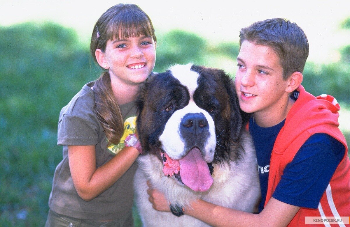 Кадр из фильма "Бетховен 4". Источник фото: kinopoisk.ru