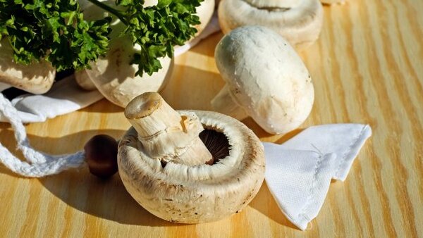 Как правильно готовить грибы?