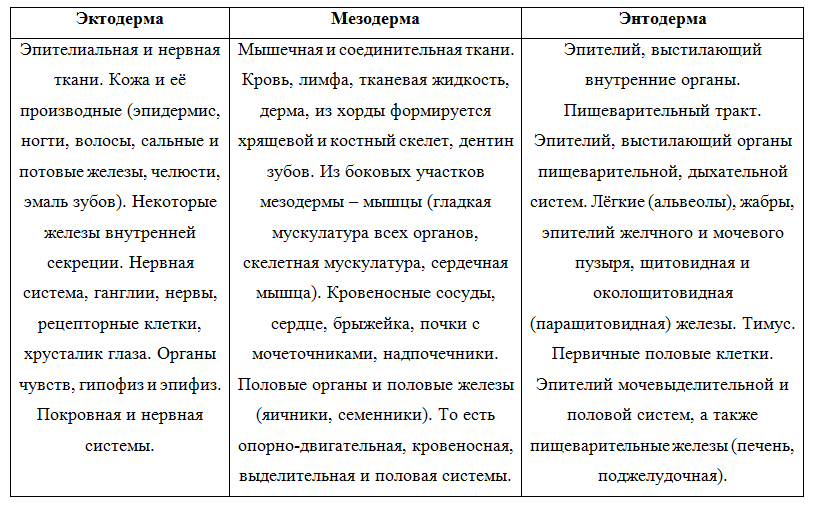 Биология. 11 класс