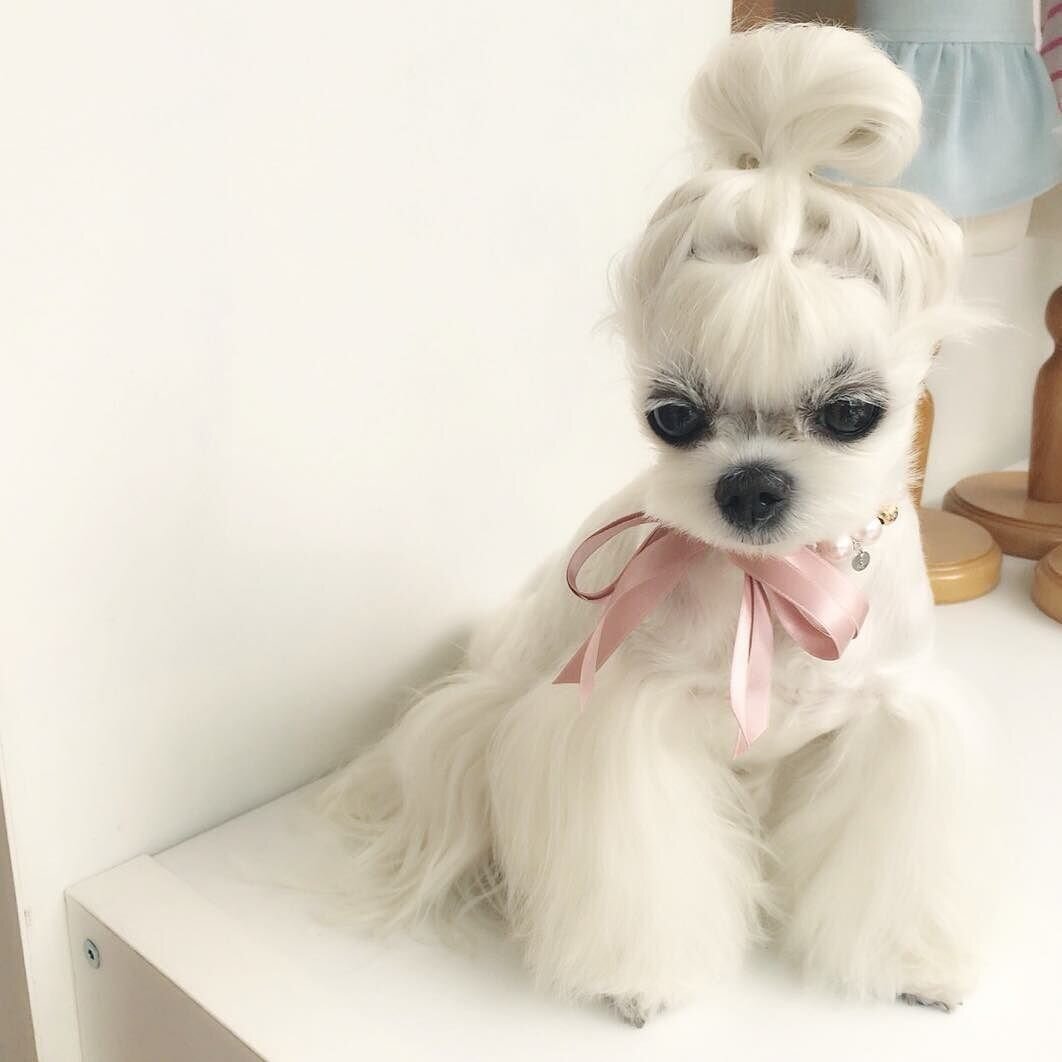 https://www.pinterest.ru/pin/676665912745443064/?nic=1