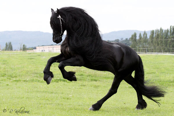 Источник фото сервис Яндекс.Картинки